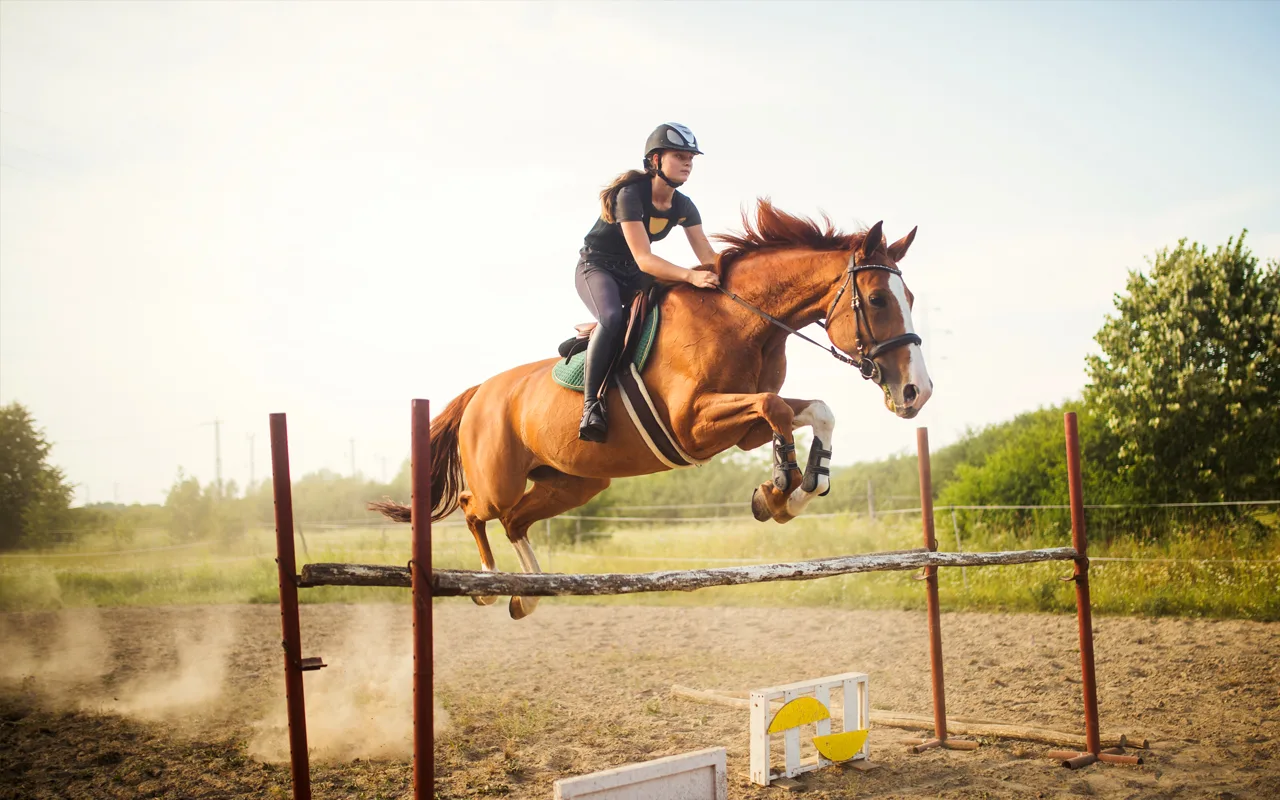 Horse with girl